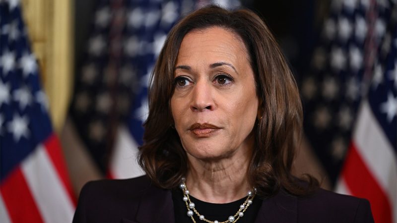 Harris’ push for electric vehicles suffers another blow after automaker backtracks: ‘Unwanted and unworkable’