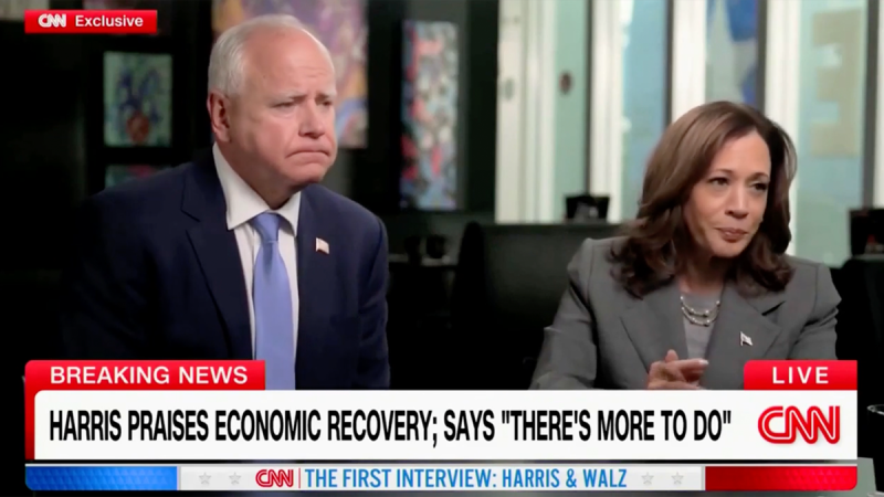 Harris lacked confidence, presidential demeanor in first TV interview: body language expert