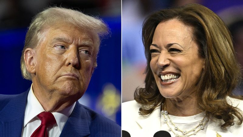 DAVID MARCUS: Kamala Harris’ newest vibe is fading momentum