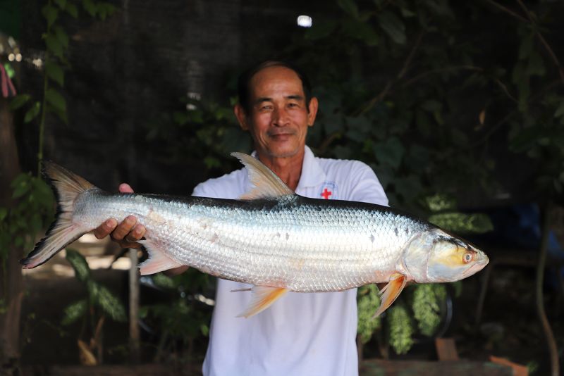 Scientists feared this huge ‘ghost’ fish was extinct. It was just seen after almost 20 years