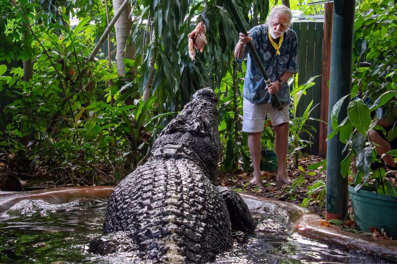 World’s largest captive crocodile dies in Australia aged more than 100