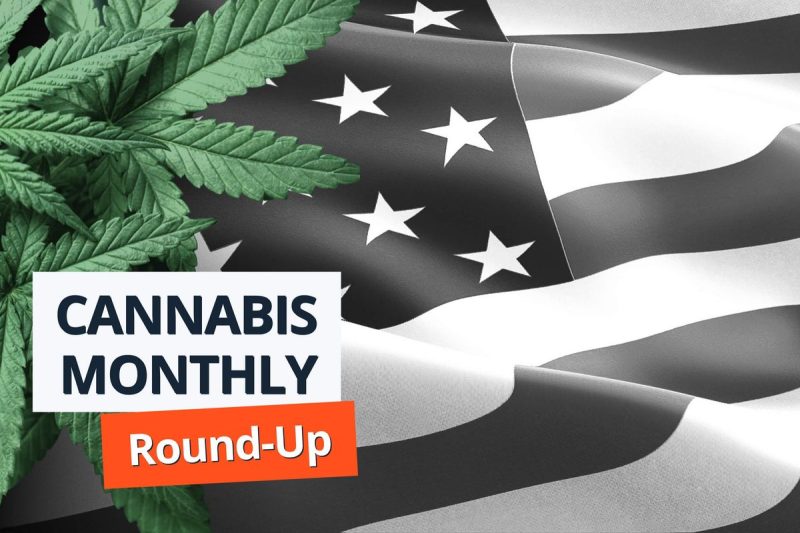 Cannabis Round-Up: Harris  to Push for Federal Legalization, DEA Choosing Witnesses for Rescheduling Trial