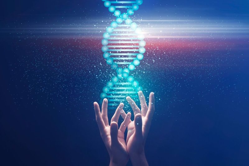 5 Biggest Biotechnology ETFs in 2024