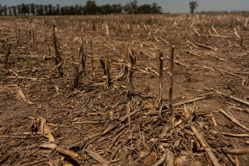 Climate change is disrupting food systems across Latin America, UN report says