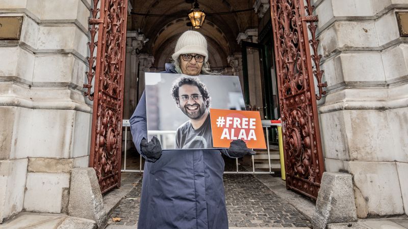 Imprisoned Egyptian-British activist’s mothermarks 100 days of hunger strike, says family