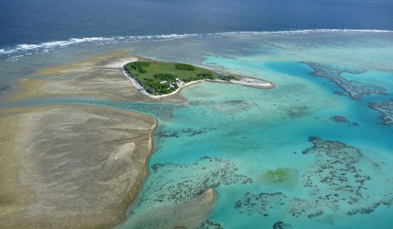 Coral bleaching on Australia’s Great Barrier Reef reaches ‘catastrophic’ levels, study finds