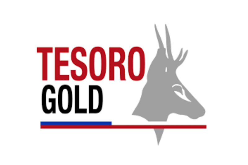 Wide High Grade Gold Intercepts at El Zorro