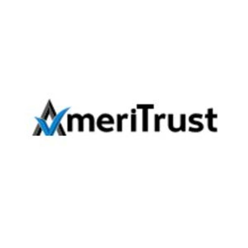 Auto Finance Veteran and Former Tesla National Lease Partner Launches AmeriTrust Financial to Fill Used-Car Leasing Gap